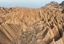 The Foundations of Xinjiang’s Transformation (1949–1990)