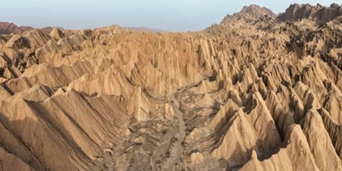 Untitled design (53)