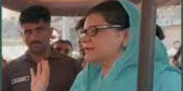 Untitled design (54)