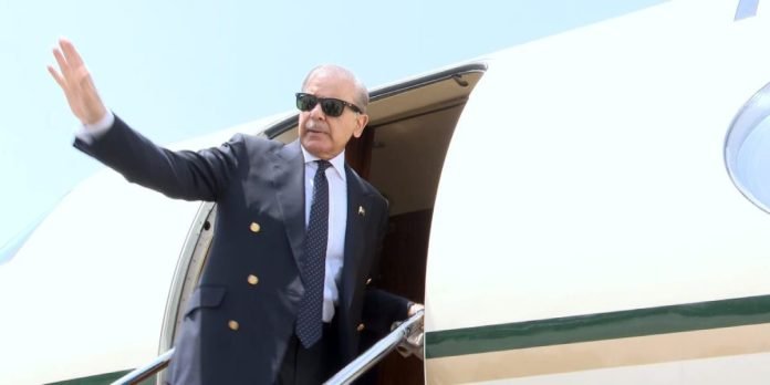 Untitled design (83)