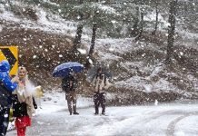 PDMA issues weather alert for rain, snowall in northern Punjab