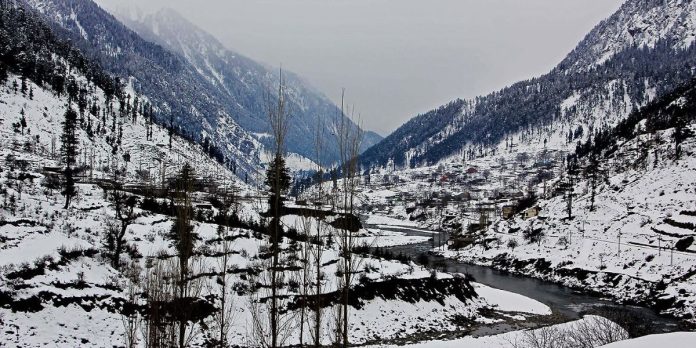 Untitled design (59)