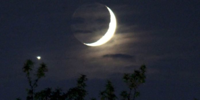 Untitled design (63)