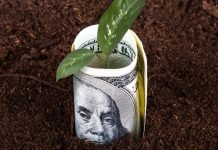 When Capitalism Gives Back: How Wealth Can Finance Opportunity