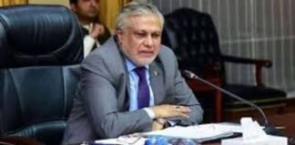 Ishaq Dar, Indonesian minister reaffirm Pakistan-Indonesia cooperation