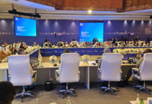 Pakistan to assume DCO Council Presidency, vows push for inclusive digital growth