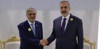 Ishaq Dar engages Turkish officials on regional security and bilateral relations