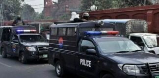 51 held in large-scale operation targeting illegal residents 51 held in large-scale operation targeting illegal residents