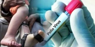 First Polio case of 2026 reported in Sindh, Pakistan plans next nationwide vaccination drive First Polio case of 2026 reported in Sindh, Pakistan plans next nationwide vaccination drive