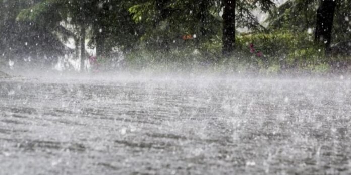 Untitled design - 2026-03-06T141854.890 PDMA Forcast