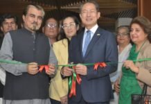 Japan-Pakistan cultural ties celebrated at ‘Japan in Art’ exhibition in Islamabad