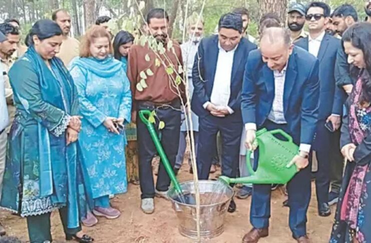 Govt launches plantation drive in Islamabad to boost green cover, tackle climate change plantation drive, Islamabad, Shakarparian, Dr Musadik Malik, climate change, afforestation, ecological balance, tree plantation, green cover, environmental protection, urban forestry, carbon emissions, forest conservation, public participation, Pakistan environment