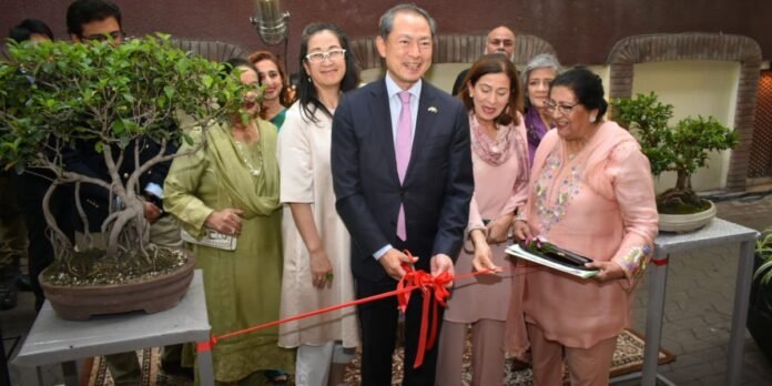 Ambassador of Japan inaugurates “Spring Reverie: Crafts of Pakistan” Sogetsu Ikebana exhibition in Lahore Ambassador of Japan inaugurates “Spring Reverie: Crafts of Pakistan” Sogetsu Ikebana exhibition in Lahore