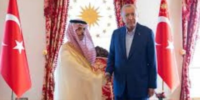Prince Faisal, Erdogan discuss stronger Saudi-Turkiye cooperation in Ankara