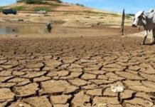 The Province Beneath the Surface: How Policy Failures Are Draining Balochistan The Province Beneath the Surface: How Policy Failures Are Draining Balochistan