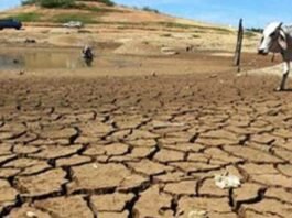The Province Beneath the Surface: How Policy Failures Are Draining Balochistan The Province Beneath the Surface: How Policy Failures Are Draining Balochistan
