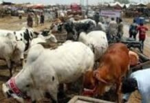 Punjab imposes section 144 ahead of Eidul Azha across province Punjab imposes section 144 ahead of Eidul Azha across province
