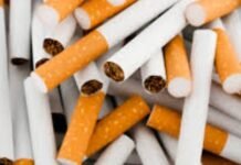 ACT Alliance praises FBR action against illegal cigarette industry Pakistan, ACT Alliance Pakistan, Illegal Tobacco Trade, Federal Board of Revenue, FBR, Shehbaz Sharif, Tax Evasion, Cigarette Mafia, Smuggling, Track and Trace System, Pakistan Economy, Revenue Loss, Customs, Inland Revenue, Investor Confidence, Illegal Economy, Tobacco Industry, Law Enforcement, Foreign Investment, Islamabad