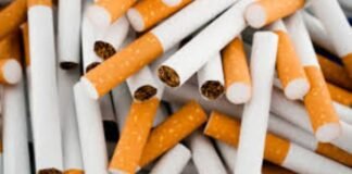 ACT Alliance praises FBR action against illegal cigarette industry Pakistan, ACT Alliance Pakistan, Illegal Tobacco Trade, Federal Board of Revenue, FBR, Shehbaz Sharif, Tax Evasion, Cigarette Mafia, Smuggling, Track and Trace System, Pakistan Economy, Revenue Loss, Customs, Inland Revenue, Investor Confidence, Illegal Economy, Tobacco Industry, Law Enforcement, Foreign Investment, Islamabad
