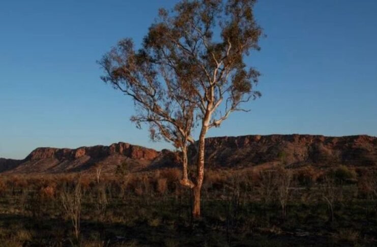 Climate change threatens survival of thousands of plant species, study finds Climate change threatens survival of thousands of plant species, study finds