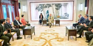PM Shehbaz meets Chinese corporate leaders to boost investment and energy cooperation PM Shehbaz meets Chinese corporate leaders to boost investment and energy cooperation