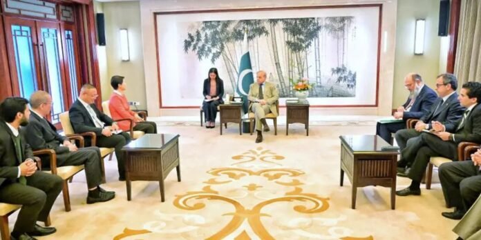 PM Shehbaz meets Chinese corporate leaders to boost investment and energy cooperation PM Shehbaz meets Chinese corporate leaders to boost investment and energy cooperation