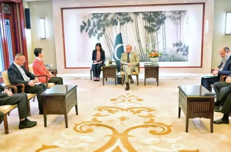 PM Shehbaz meets Chinese corporate leaders to boost investment and energy cooperation PM Shehbaz meets Chinese corporate leaders to boost investment and energy cooperation