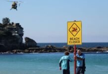 Australia reviews drone restrictions after shark attack leaves woman critically injured Australia Reviews Drone Restrictions After Shark Attack Leaves Woman Critically Injured