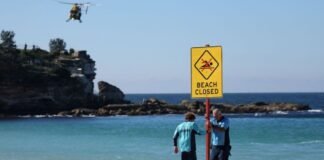 Australia reviews drone restrictions after shark attack leaves woman critically injured Australia Reviews Drone Restrictions After Shark Attack Leaves Woman Critically Injured