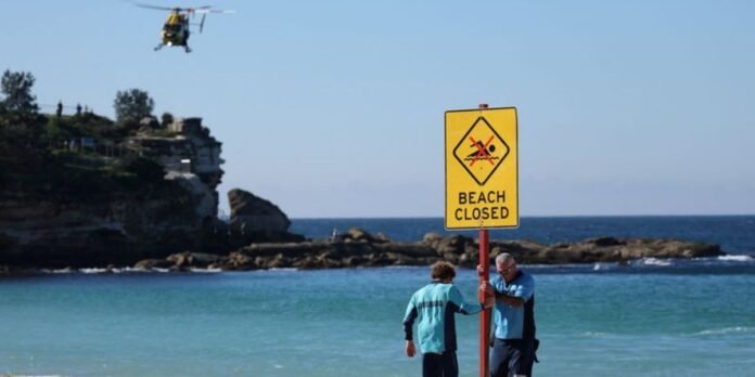 Australia Reviews Drone Restrictions After Shark Attack Leaves Woman Critically Injured