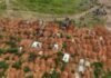 At least 30 deaths at Congo camp show Ebola could be spreading fast At least 30 deaths at Congo camp show Ebola could be spreading fast