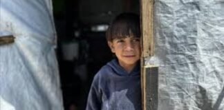 UN inquiry accuses Israel of deliberately targeting Palestinian children in Gaza Israel targeted Gaza children resulting in genocide, UN inquiry says