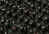 Russia approved secret China military training at top level, sources say Russia approved secret China military training at top level, sources say