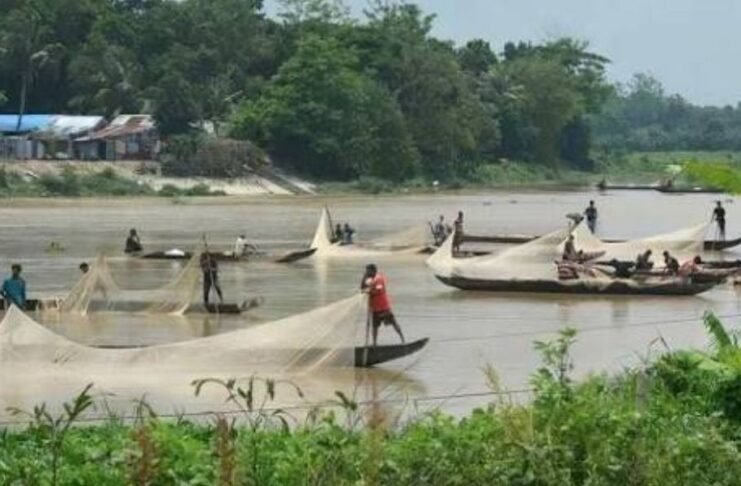 Bangladesh authorities seize 6,300 metres of illegal fishing nets in Halda River crackdown Bangladesh authorities seize 6,300 metres of illegal fishing nets in Halda River crackdown