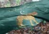 PML-N leads PPP in Mirpur Division as unofficial AJK election results emerge pmln-photo