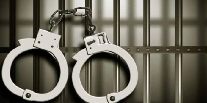 Seven Shopkeepers Jailed in Dera Ismail Khan Over Profiteering, Food Safety Violations
