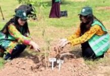 Monsoon plantation drive launched in Islamabad to boost city’s green cover Monsoon plantation drive launched in Islamabad to boost city’s green cover