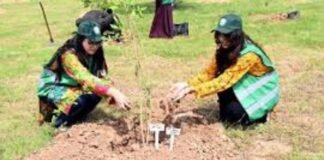 Monsoon plantation drive launched in Islamabad to boost city’s green cover Monsoon plantation drive launched in Islamabad to boost city’s green cover