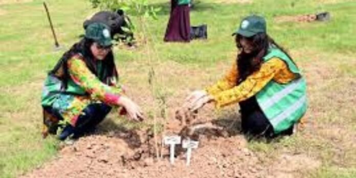 Monsoon plantation drive launched in Islamabad to boost city’s green cover Monsoon plantation drive launched in Islamabad to boost city’s green cover