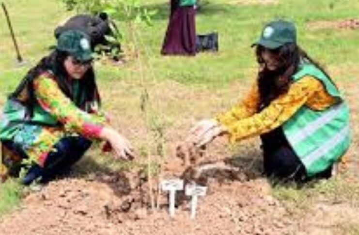 Monsoon plantation drive launched in Islamabad to boost city’s green cover Monsoon plantation drive launched in Islamabad to boost city’s green cover