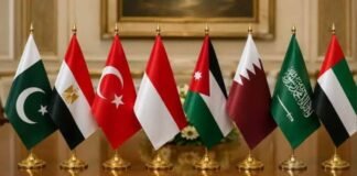 Pakistan, Egypt, Türkiye and others reject Israel’s E1 settlement plan Pakistan, Egypt, Türkiye and others reject Israel’s E1 settlement plan