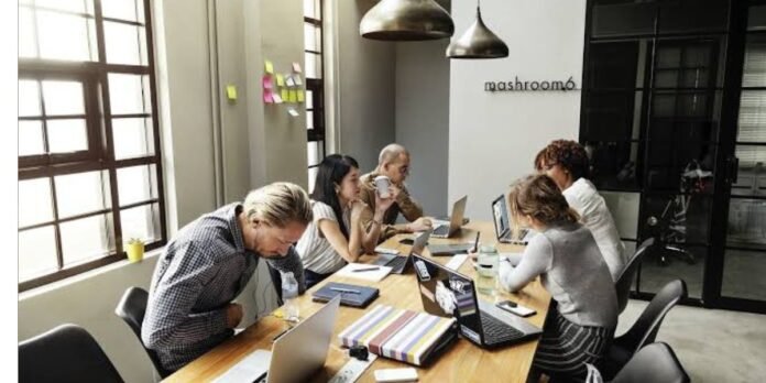 Digital Project Management Systems: Strengthening Project Governance and Delivery