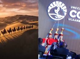 From Cholistan to the Gobi Desert: A Journey from Struggle to Opportunity From Cholistan to the Gobi Desert: A Journey from Struggle to Opportunity