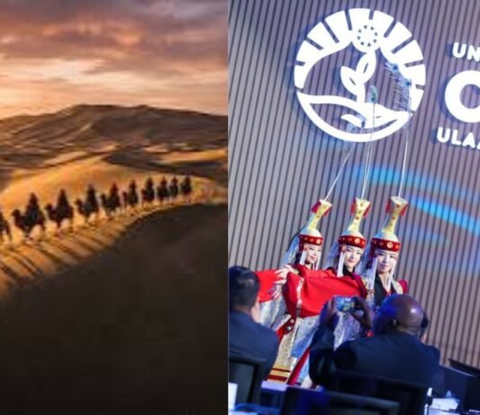 From Cholistan to the Gobi Desert: A Journey from Struggle to Opportunity From Cholistan to the Gobi Desert: A Journey from Struggle to Opportunity