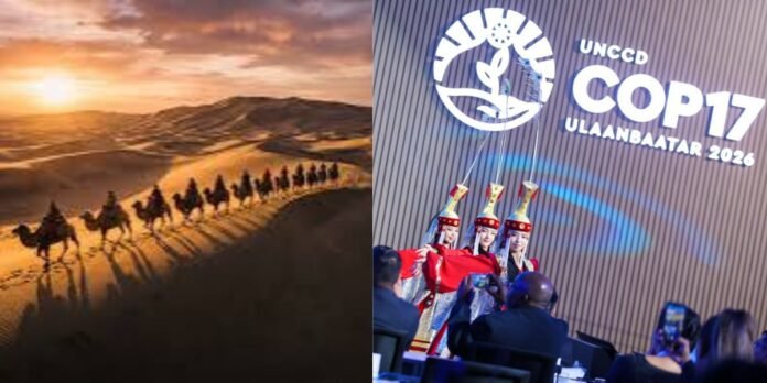 From Cholistan to the Gobi Desert: A Journey from Struggle to Opportunity From Cholistan to the Gobi Desert: A Journey from Struggle to Opportunity