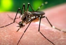 Dengue surveillance intensified across Islamabad Dengue surveillance intensified across Islamabad