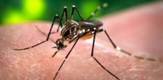 Dengue surveillance intensified across Islamabad Dengue surveillance intensified across Islamabad