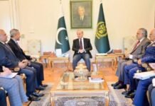 PM Shehbaz reaffirms commitment to strengthening ties with Singapore PM Shehbaz reaffirms commitment to strengthening ties with Singapore