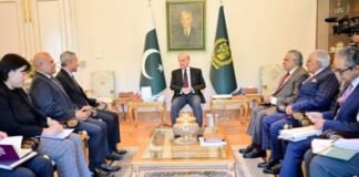 PM Shehbaz reaffirms commitment to strengthening ties with Singapore PM Shehbaz reaffirms commitment to strengthening ties with Singapore