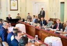 PM Shehbaz directs ministries to expedite development projects in Gilgit-Baltistan PM Shehbaz directs ministries to expedite development projects in Gilgit-Baltistan